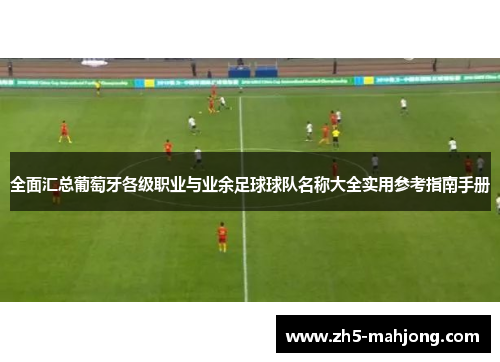 全面汇总葡萄牙各级职业与业余足球球队名称大全实用参考指南手册