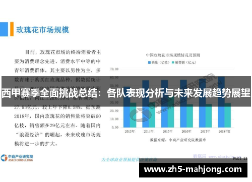 西甲赛季全面挑战总结：各队表现分析与未来发展趋势展望