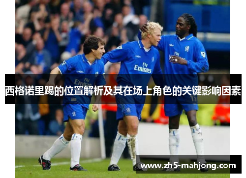 西格诺里踢的位置解析及其在场上角色的关键影响因素