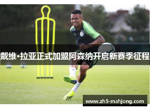 戴维·拉亚正式加盟阿森纳开启新赛季征程 戴维·拉亚正式加盟阿森纳开启新赛季征程