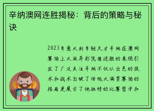 辛纳澳网连胜揭秘：背后的策略与秘诀