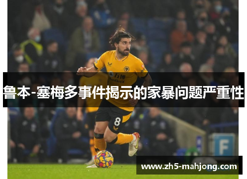 鲁本-塞梅多事件揭示的家暴问题严重性